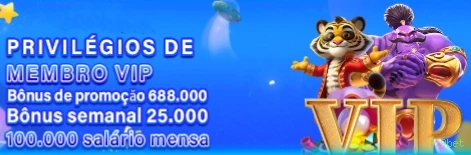 Checklist para avaliar a plataforma 919bet
